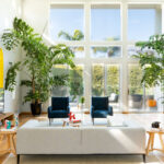 Livingroom Cleaning Livingroom Cleaning